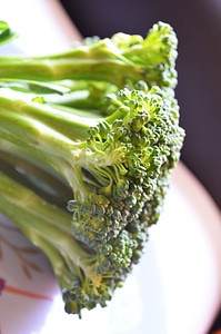 Vegetable Broccoli Cabbage photo