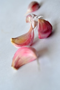 Garlic Cloves photo