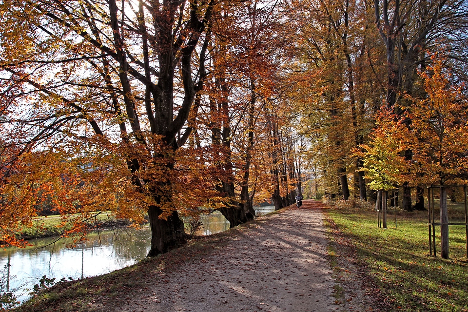 Nature away fall leaves