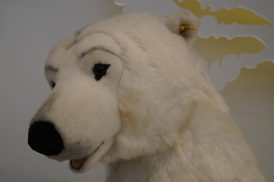 Animal predator teddy