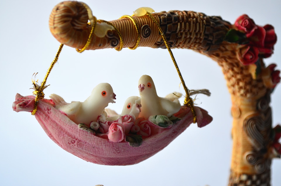 Dove Family Love