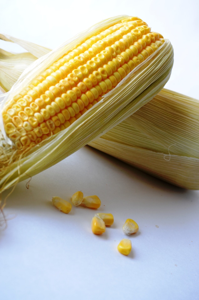 Maize Corn Pieces