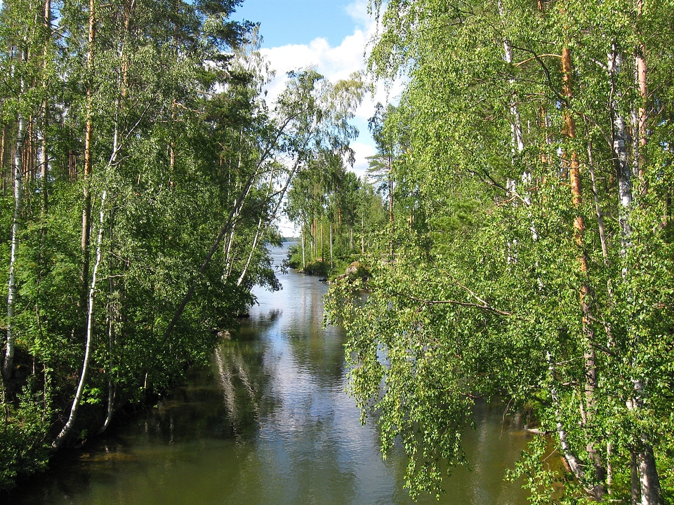 Water summer nature photo