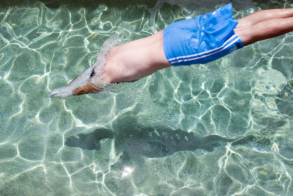 Swimming fun man photo