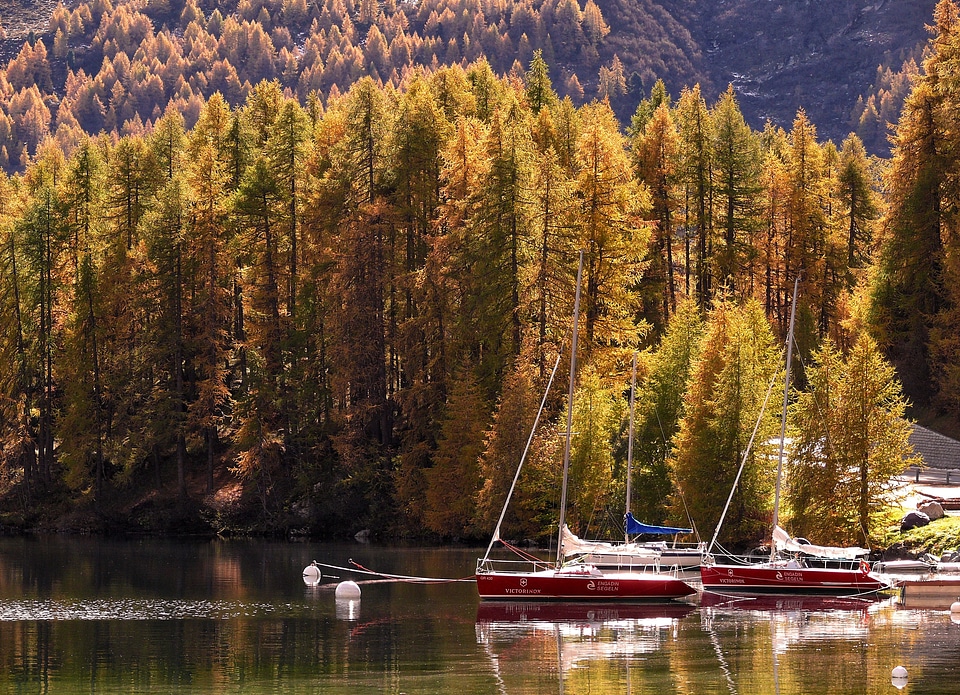 Nature switzerland colorful