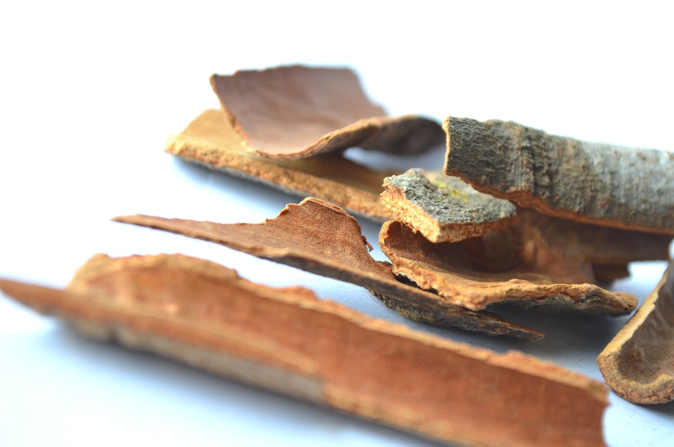 Cinnamon Curry Spices Sticks