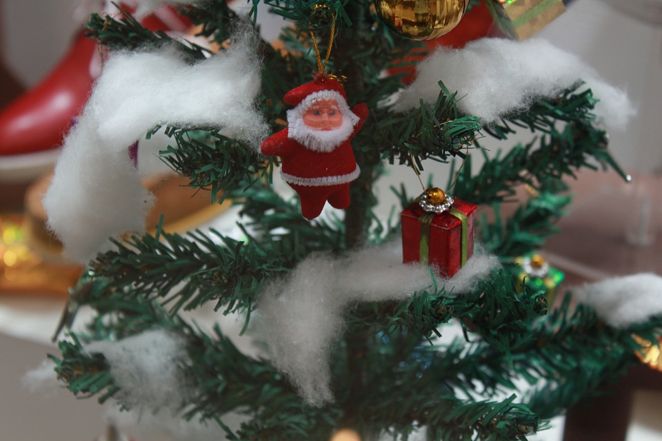 Christmas Tree Closeup