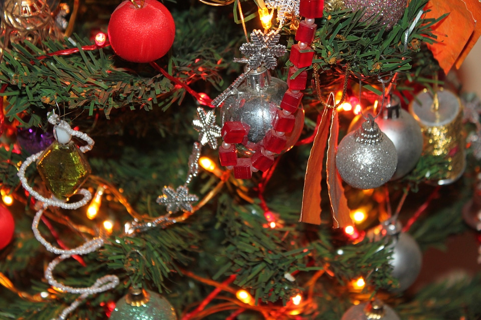 Christmas Tree Xmas Celebrations