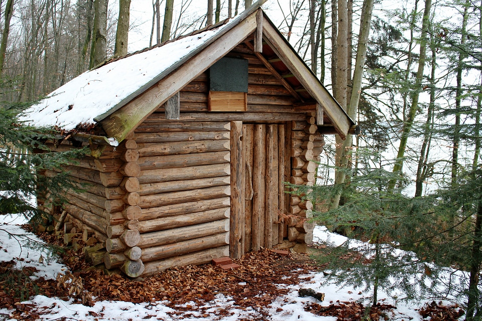 Nature winter house