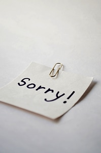 Sorry Note Pin