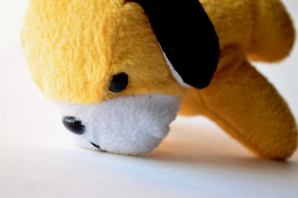 Cute Yellow Soft Toy