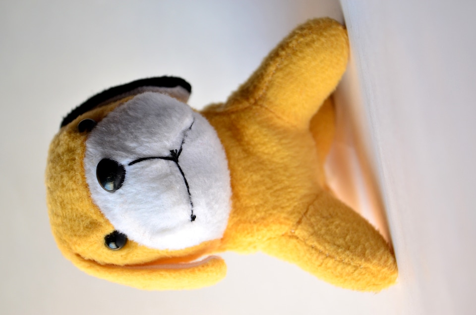 Yellow Dog Soft Toy
