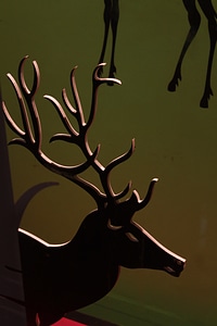 Reindeer Cutout Christmas photo