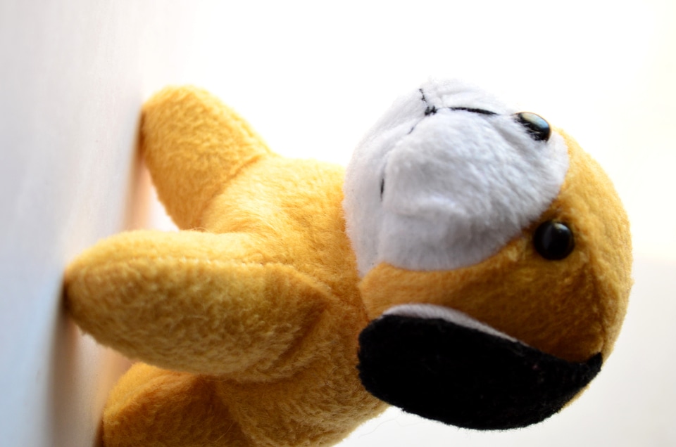 Cuddly Soft Toy Dog