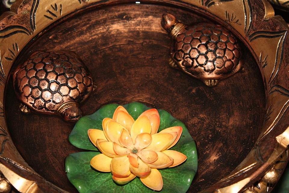 Tortoises In Water Feng Shui