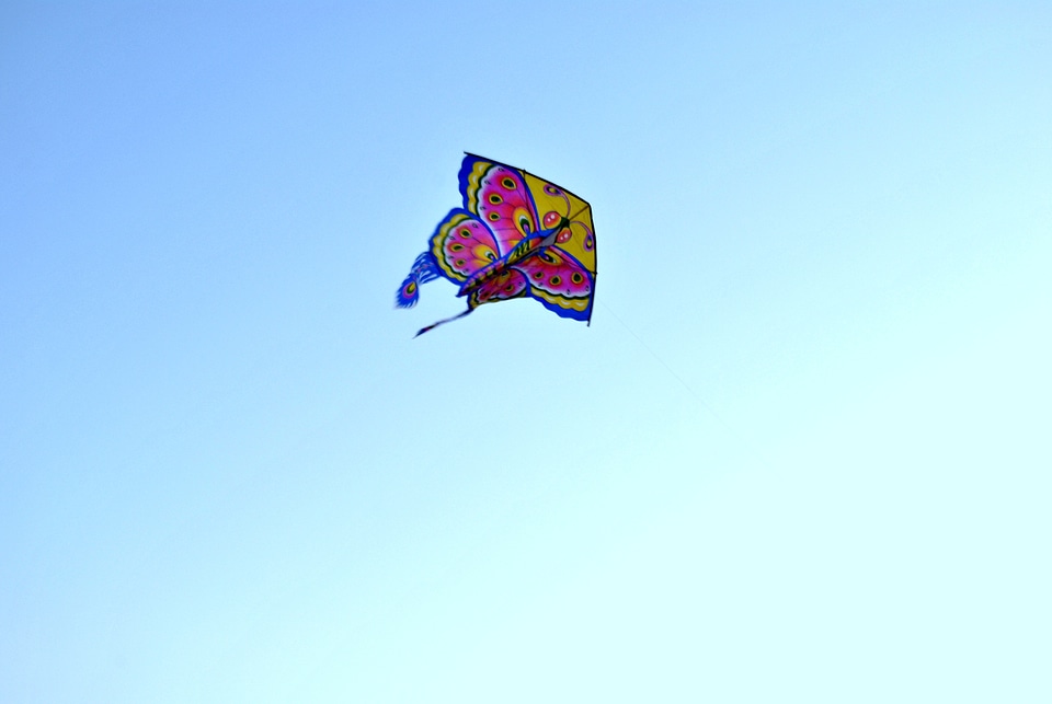 Butterfly Shaped Kite