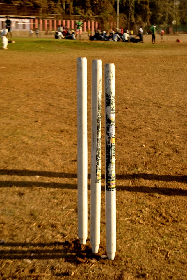 Cricket Pitch Stumps