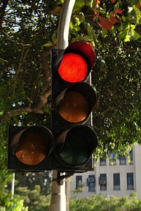 Traffic Signal Red photo