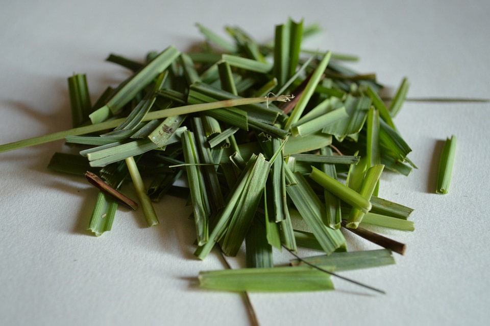 Lemongrass Leaves Cut