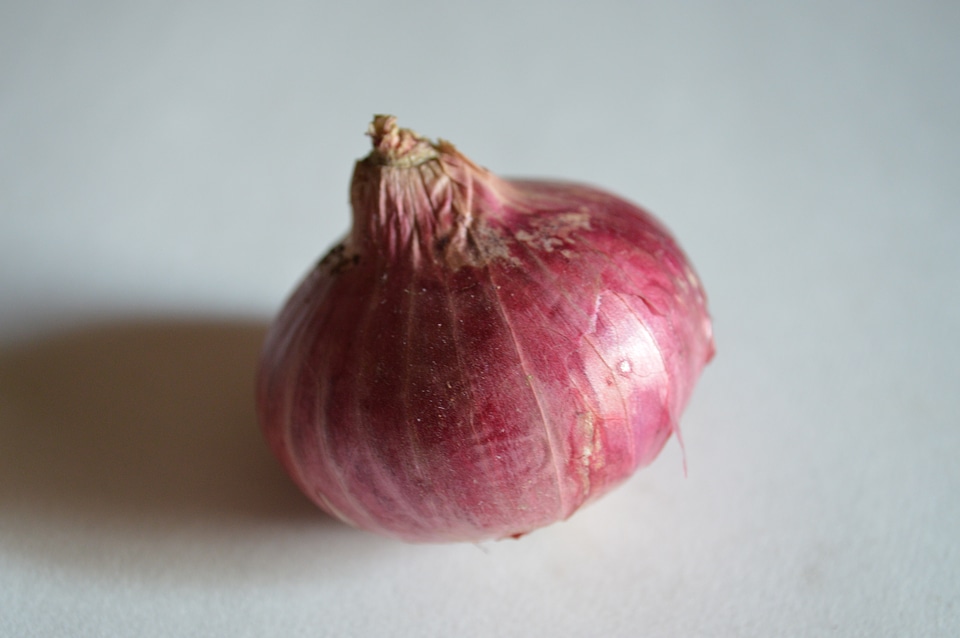 Single Onion Vegetable