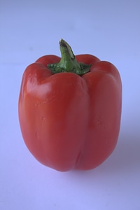 Bell Pepper Red photo