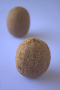 Kiwi Fruits photo