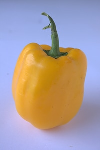 Yellow Bell Pepper