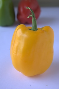 Yellow Bell Pepper Capsicum photo