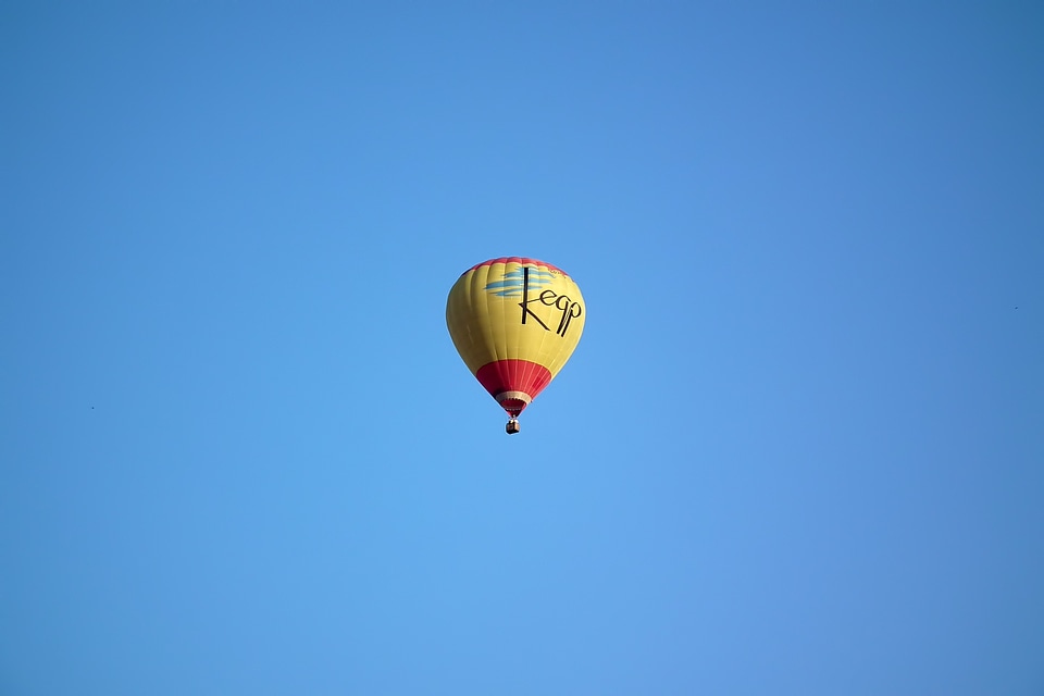 Fly transport yellow