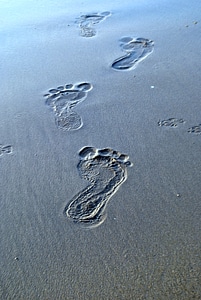 Footsteps In Sand photo