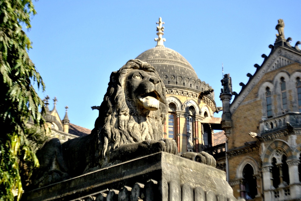 Lion Statue Close photo