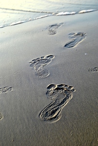 Footsteps In Sand photo