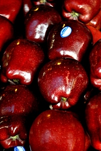 Apples Fruit Seller