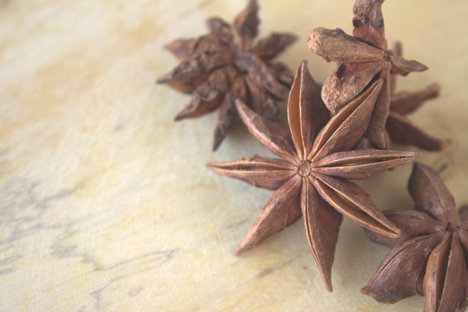 Spices Indian Star Shaped