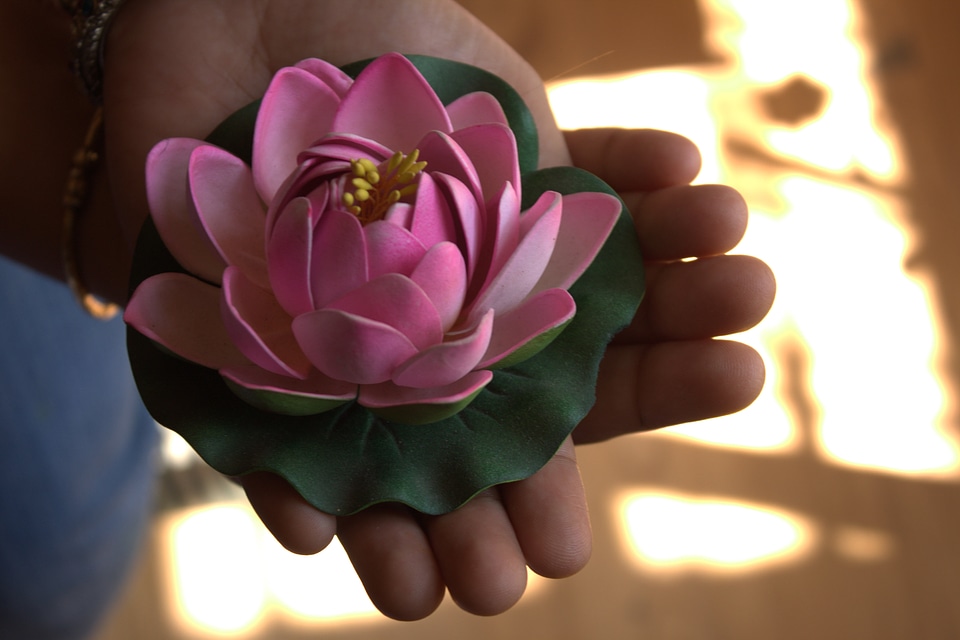 Lotus Model In Hand