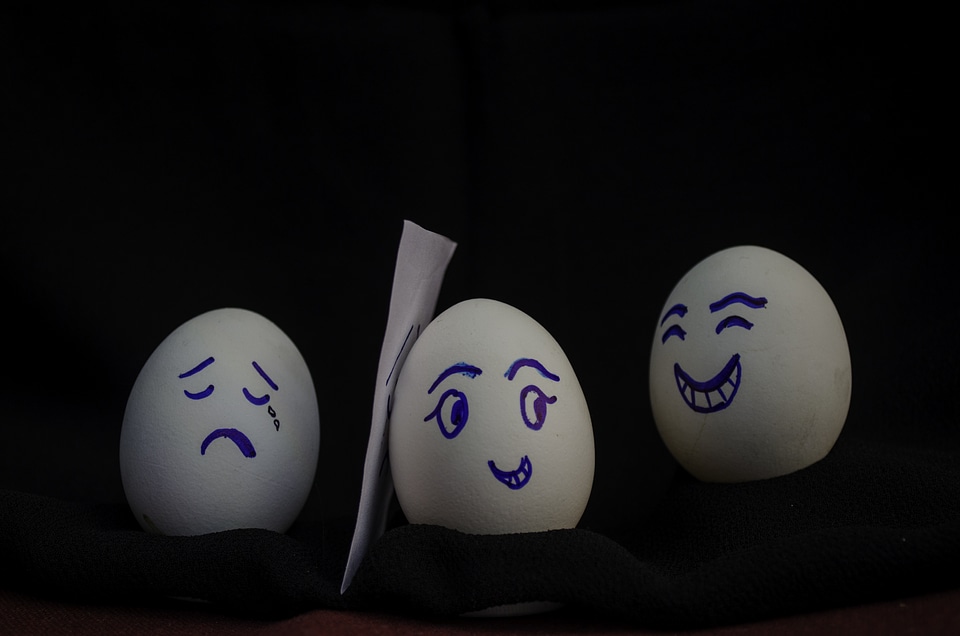Eggs Happy Sad Cry