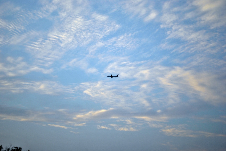 Airplane Flying Sky
