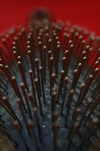 Hair Brush Closeup