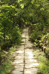Pathway In A Garden