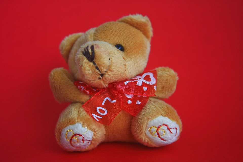 Teddy Bear Cute Love photo