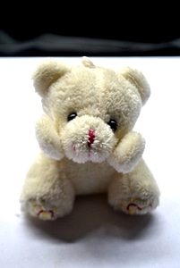 Soft Toy Teddy Bear photo