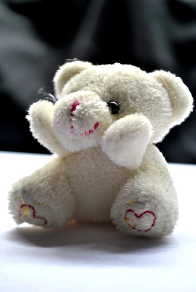 Teddy Bear