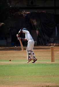 Cricket Batsman Play