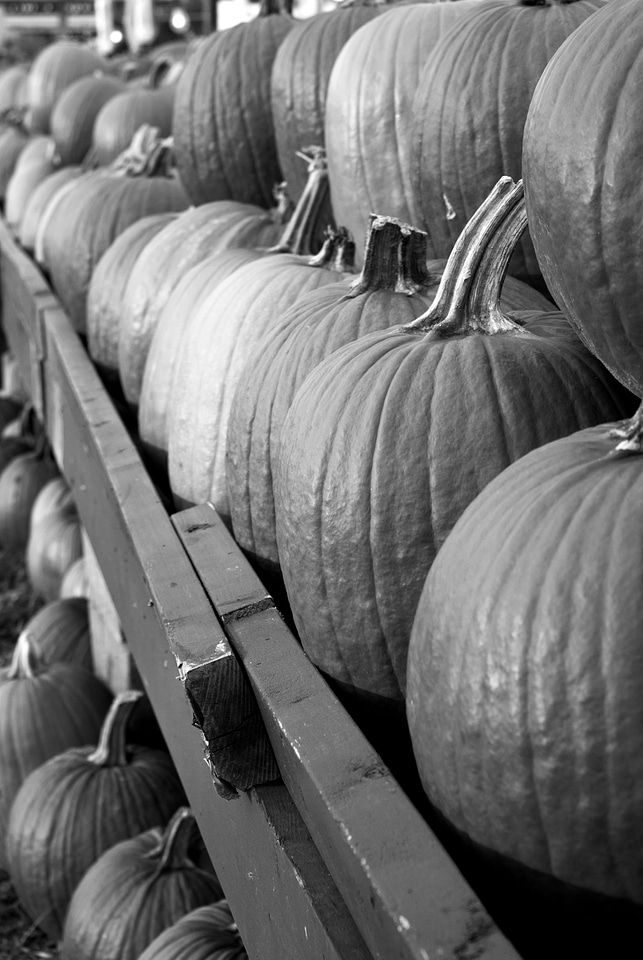 Market fruit food