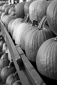 Market fruit food