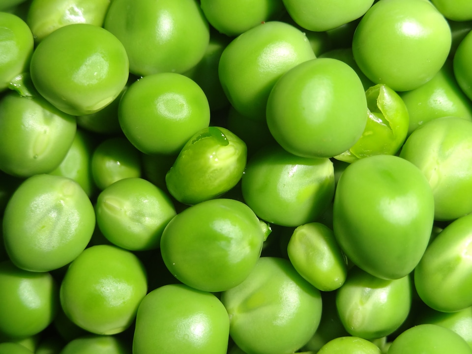 Vegetable food healthy