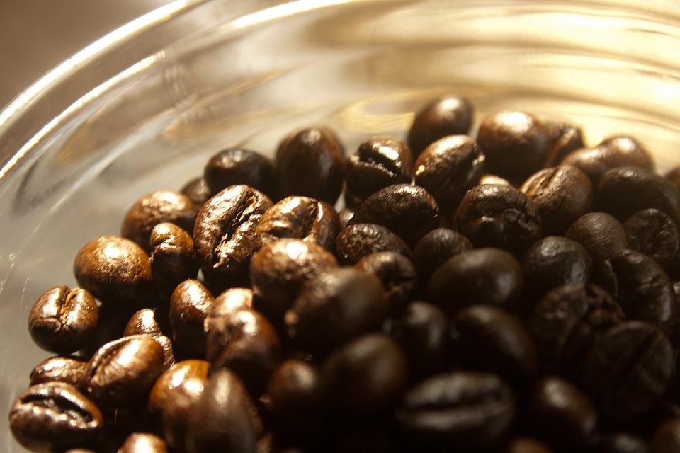 Coffee Beans Bowl 3