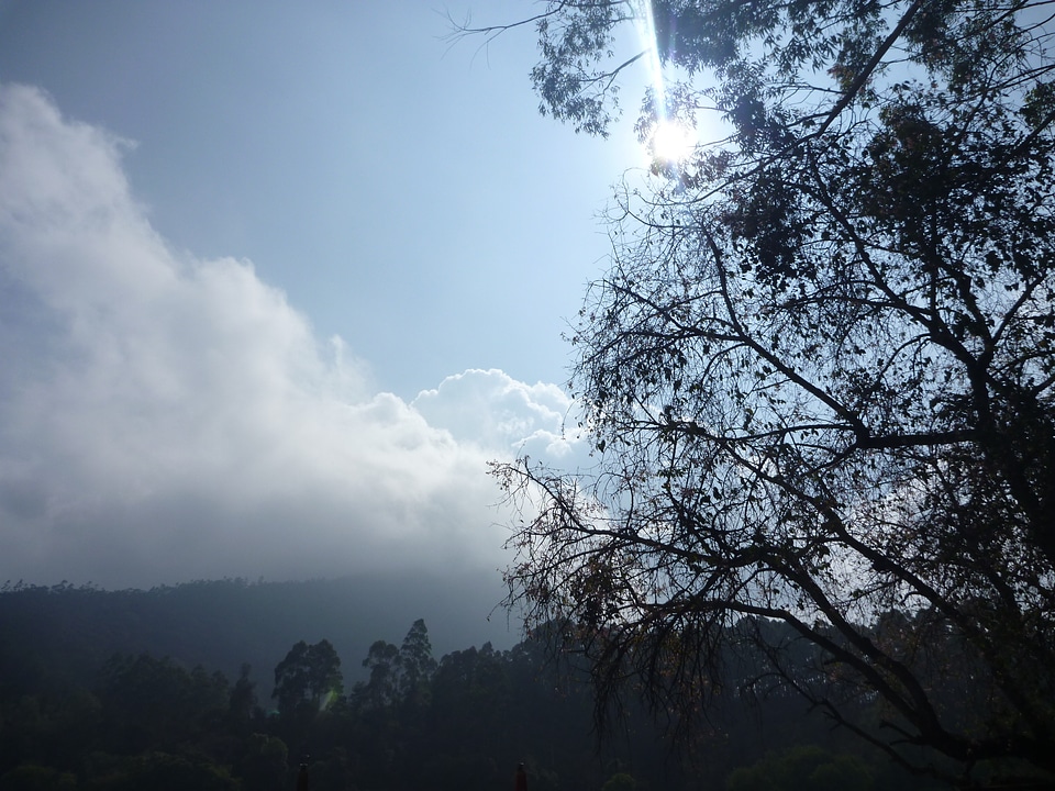Clouds Mountain Trees