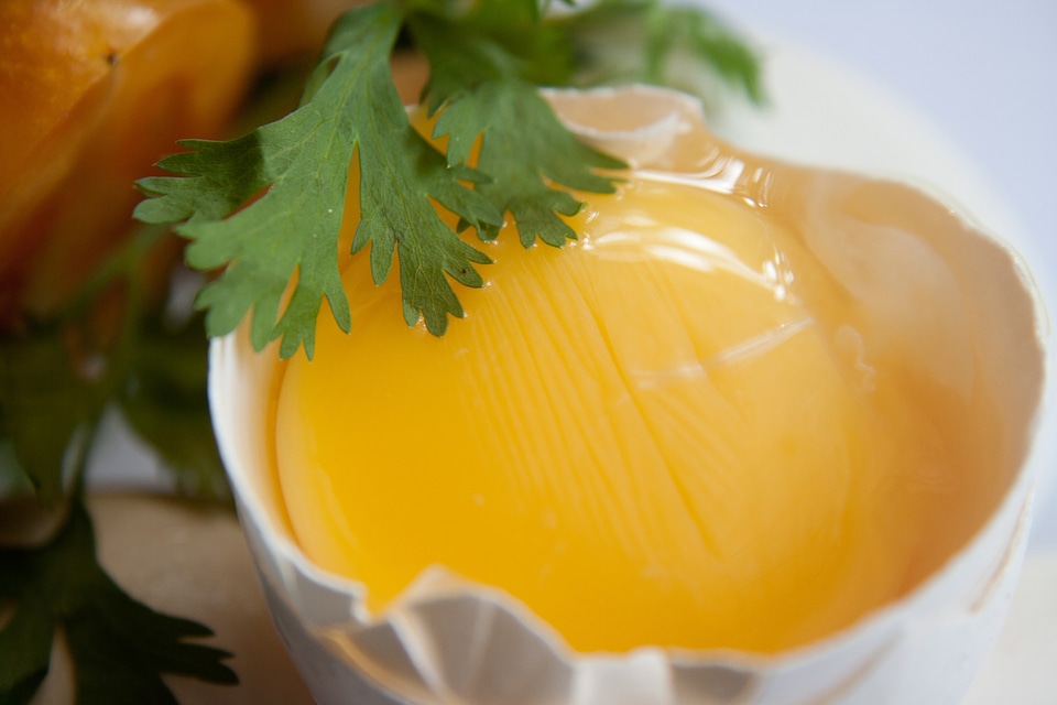 Egg Yolk Coriander