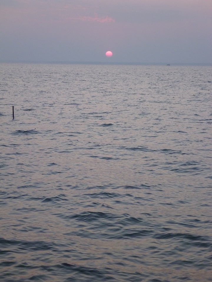 Kerala India Backwater Serene